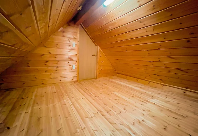 THE山将軍の小屋根裏