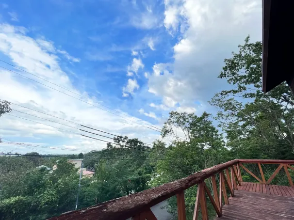 THE 森大将からの景色