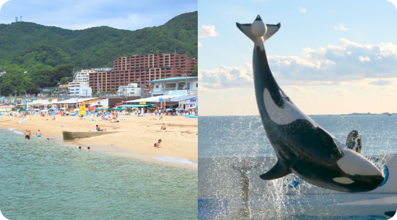 須磨海岸の写真