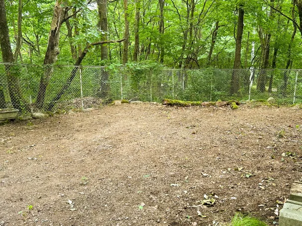 林亭 宿-SHUKU-の庭