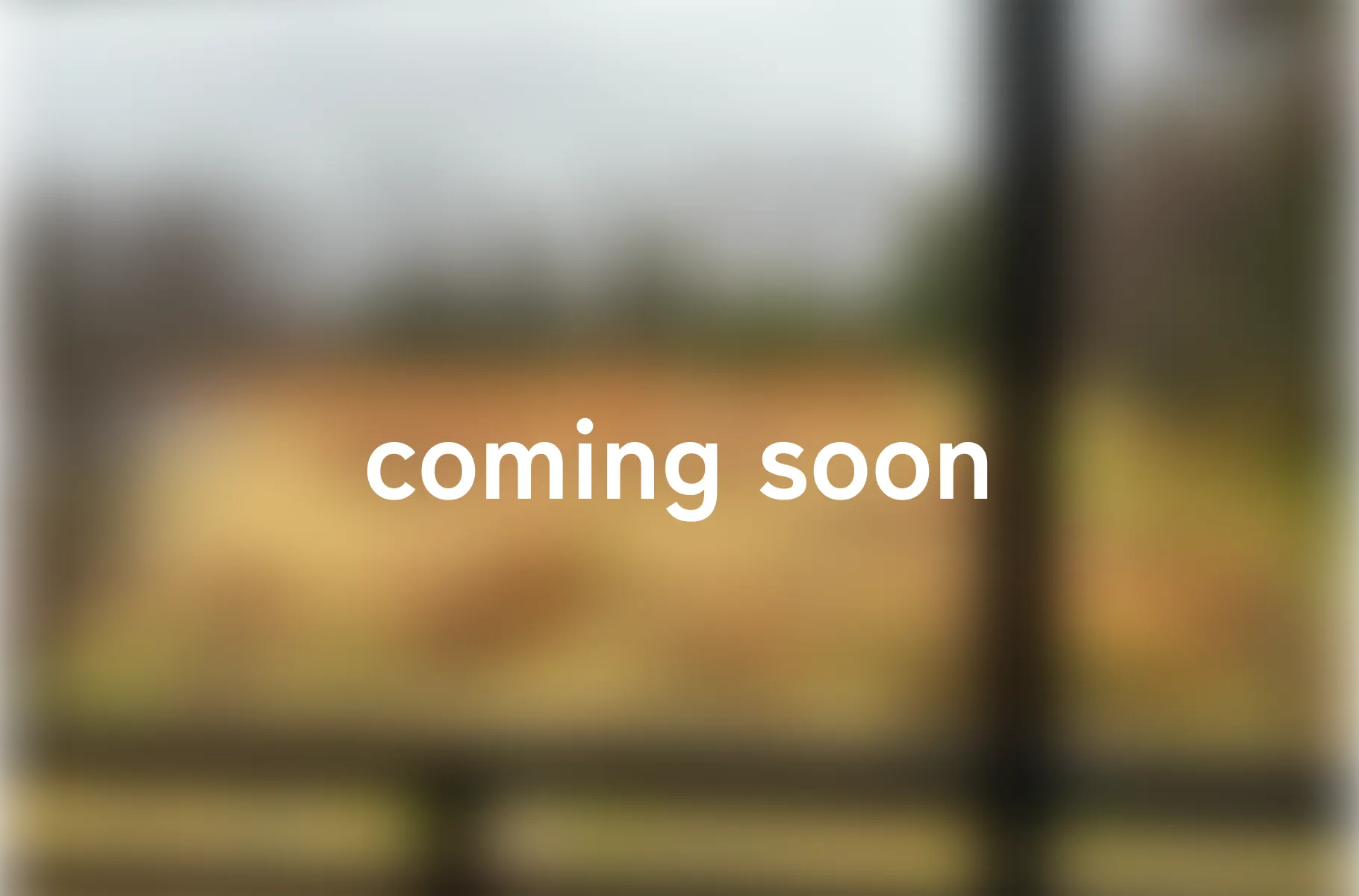 甘い夏のおもいで。の施設写真