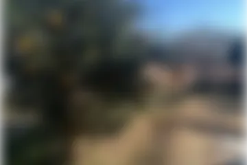 甘い夏のおもいで。の施設写真