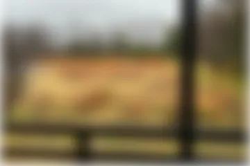 甘い夏のおもいで。の施設写真